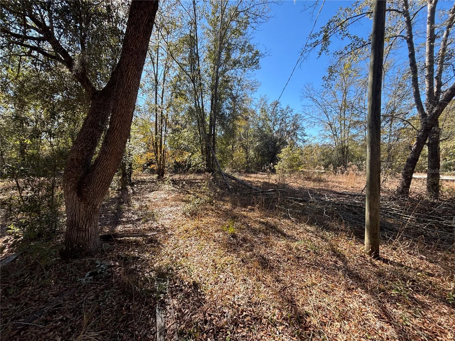 1077 NW Hamp Farmer Road Lake City FL 32055
