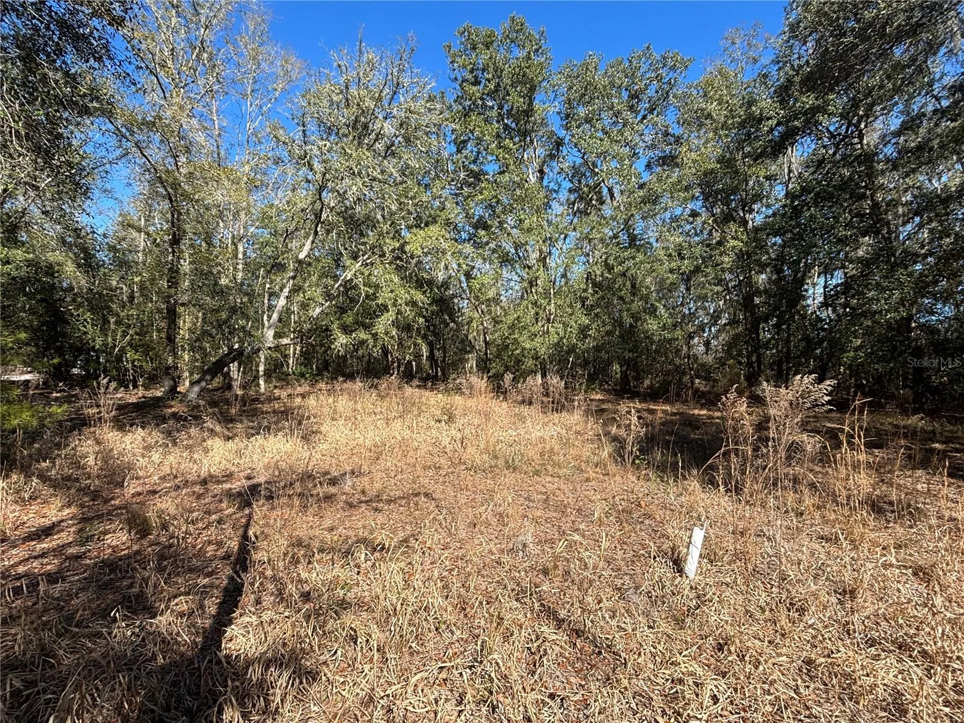 1077 NW Hamp Farmer Road Lake City FL 32055