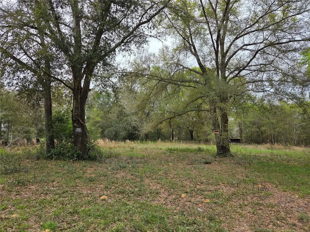 5870 NE 139th Avenue Williston FL 32696