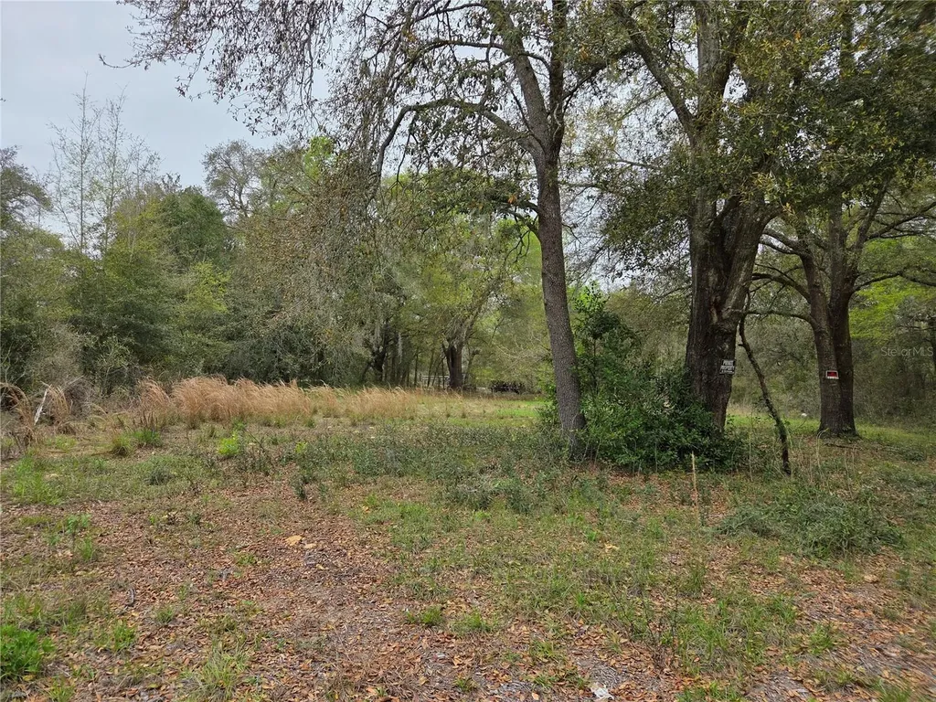 5870 NE 139th Avenue Williston FL 32696