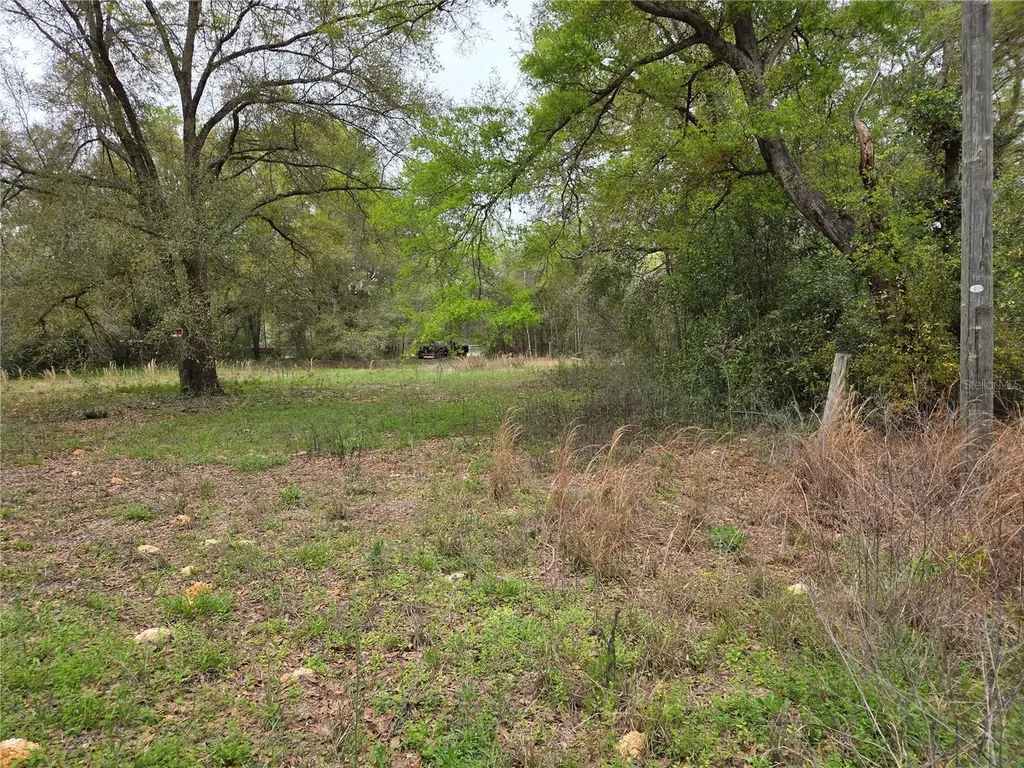5870 NE 139th Avenue Williston FL 32696