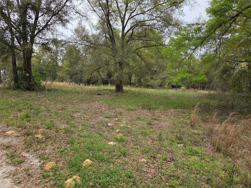 5870 NE 139th Avenue Williston FL 32696