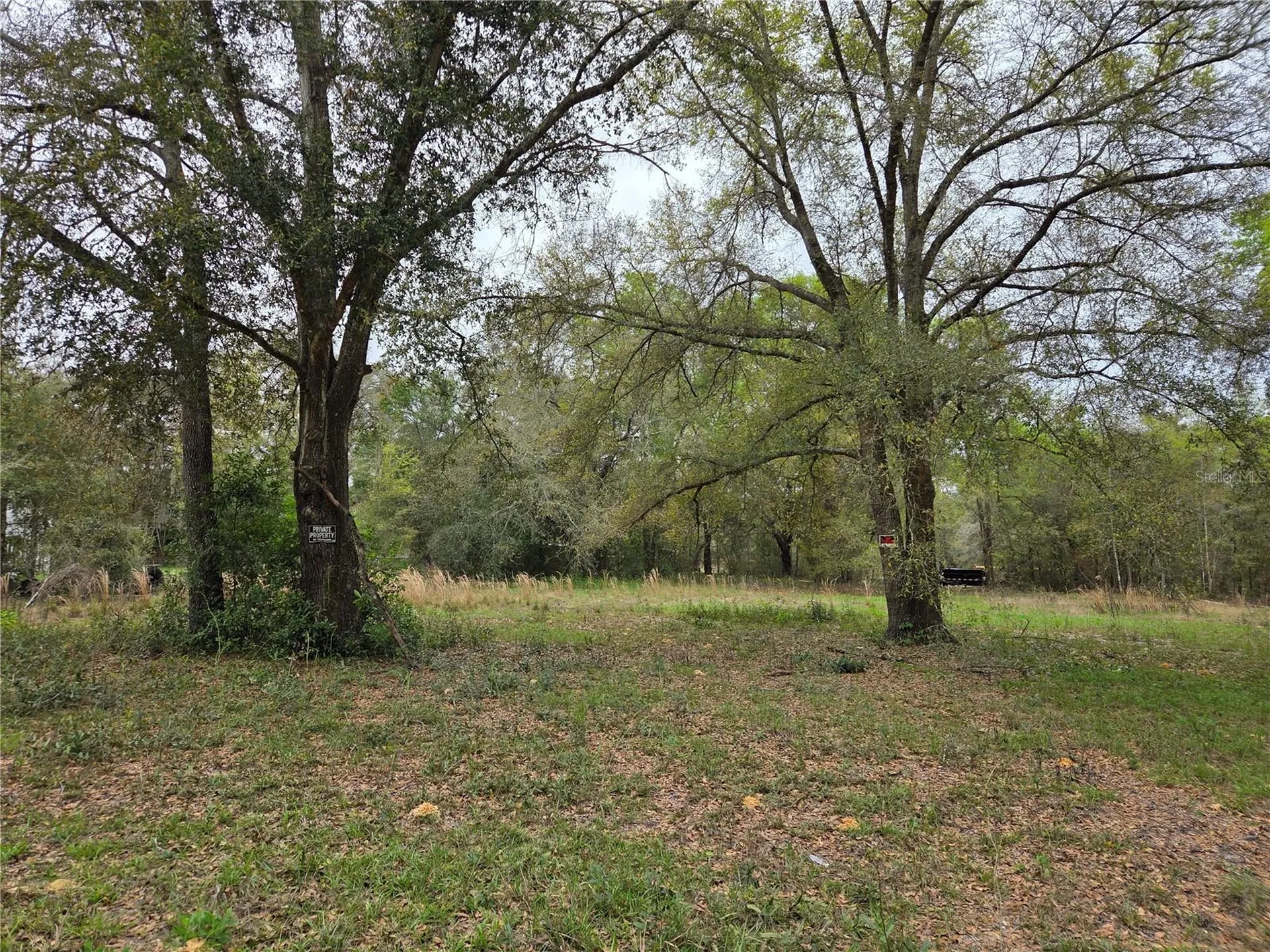 5870 NE 139th Avenue Williston FL 32696