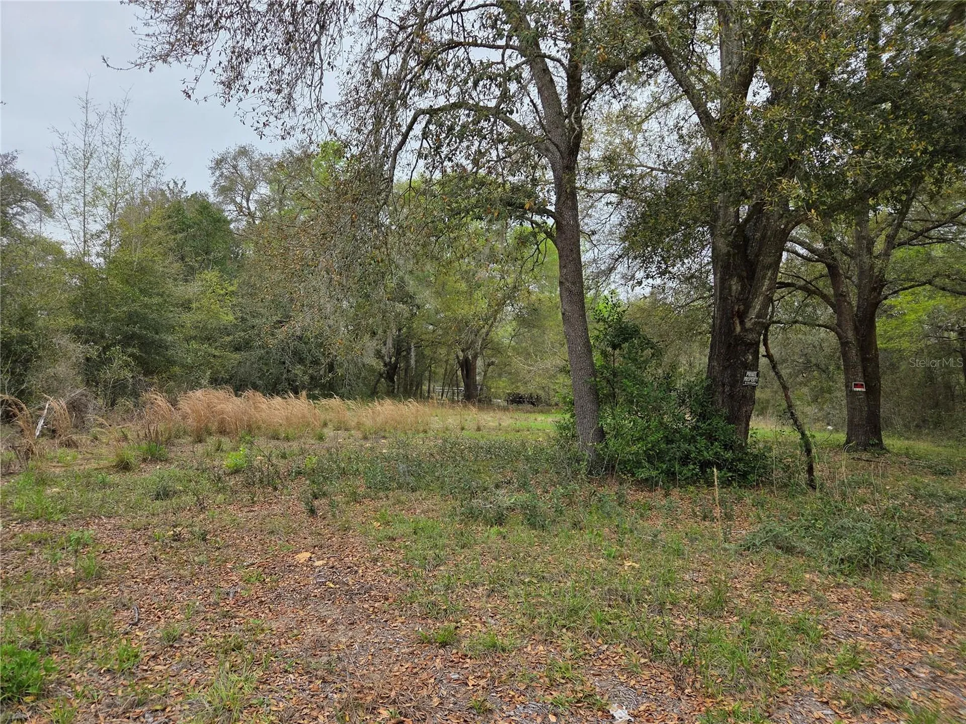 5870 NE 139th Avenue Williston FL 32696