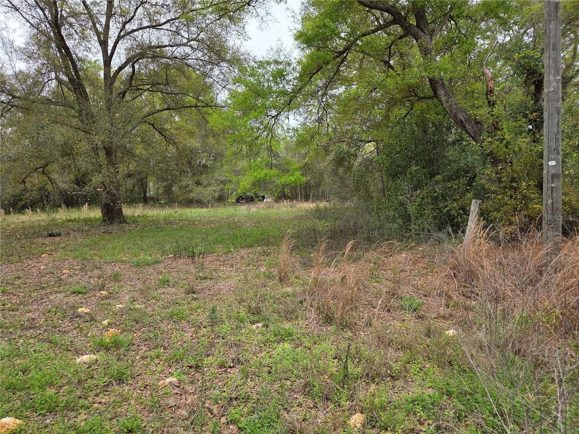 5870 NE 139th Avenue Williston FL 32696