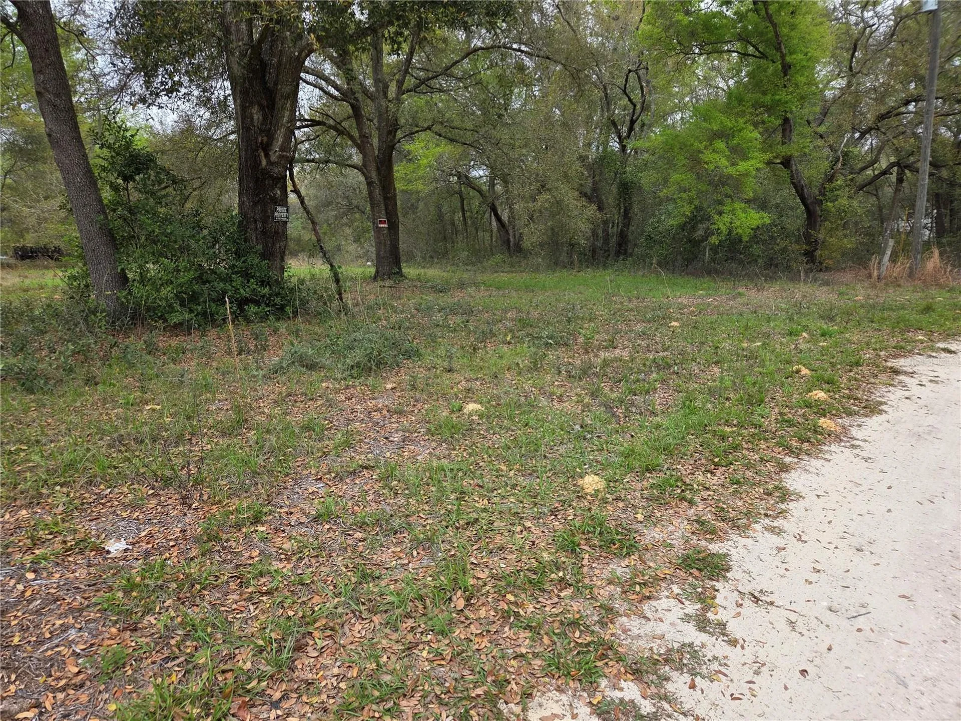 5870 NE 139th Avenue Williston FL 32696