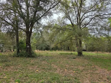 5870 NE 139th Avenue Williston FL 32696