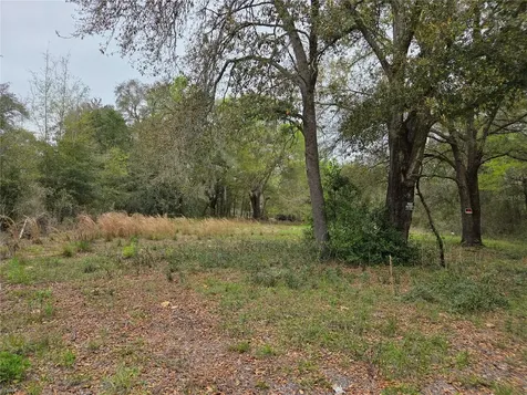 5870 NE 139th Avenue Williston FL 32696