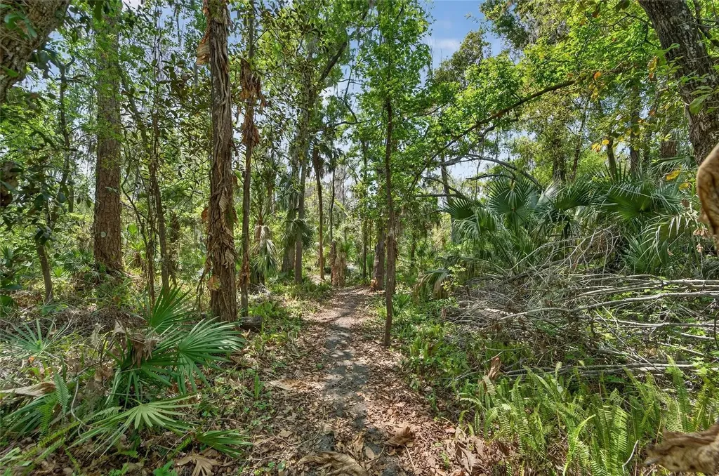 902 River Rapids Avenue Brandon FL 33511