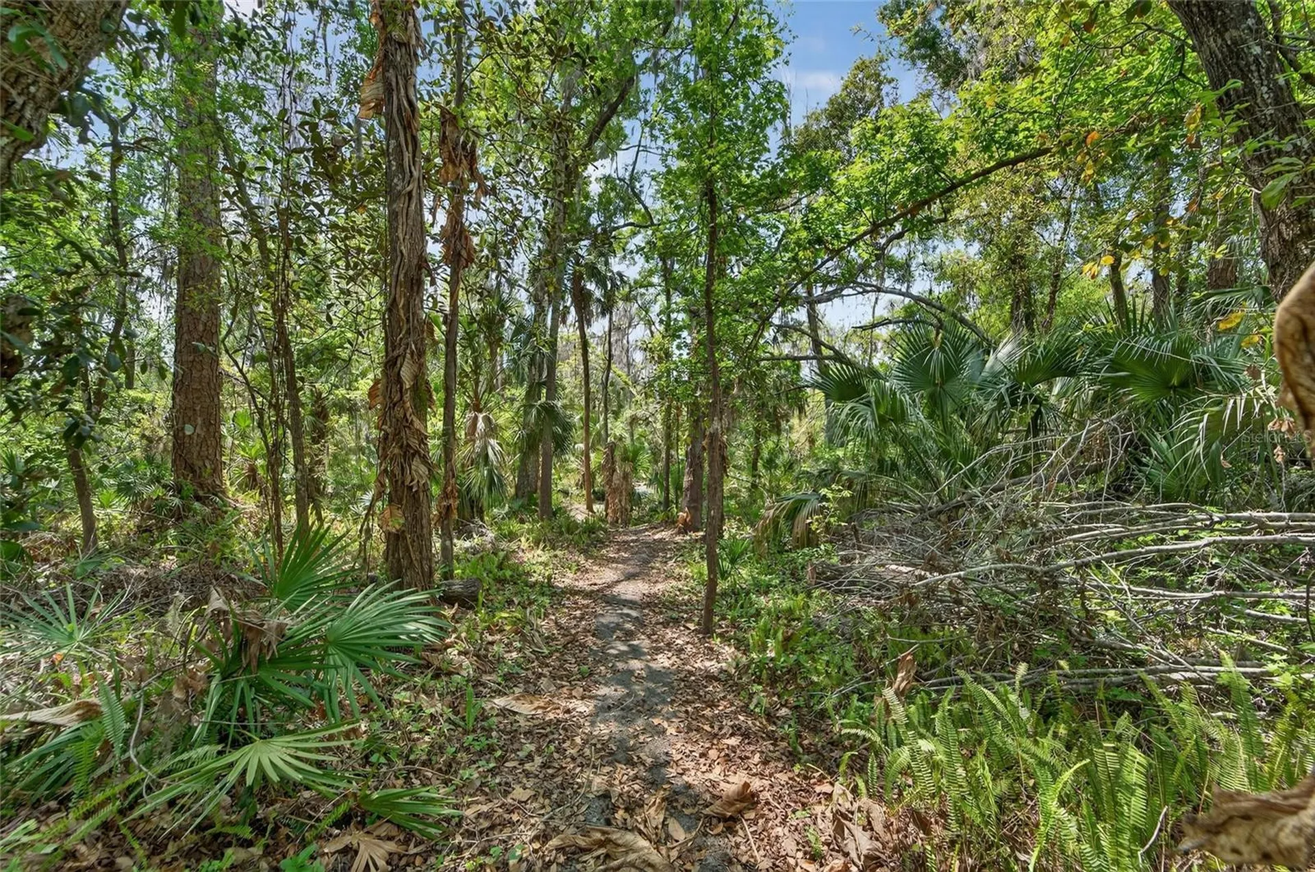 902 River Rapids Avenue Brandon FL 33511