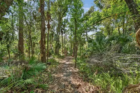 902 River Rapids Avenue Brandon FL 33511