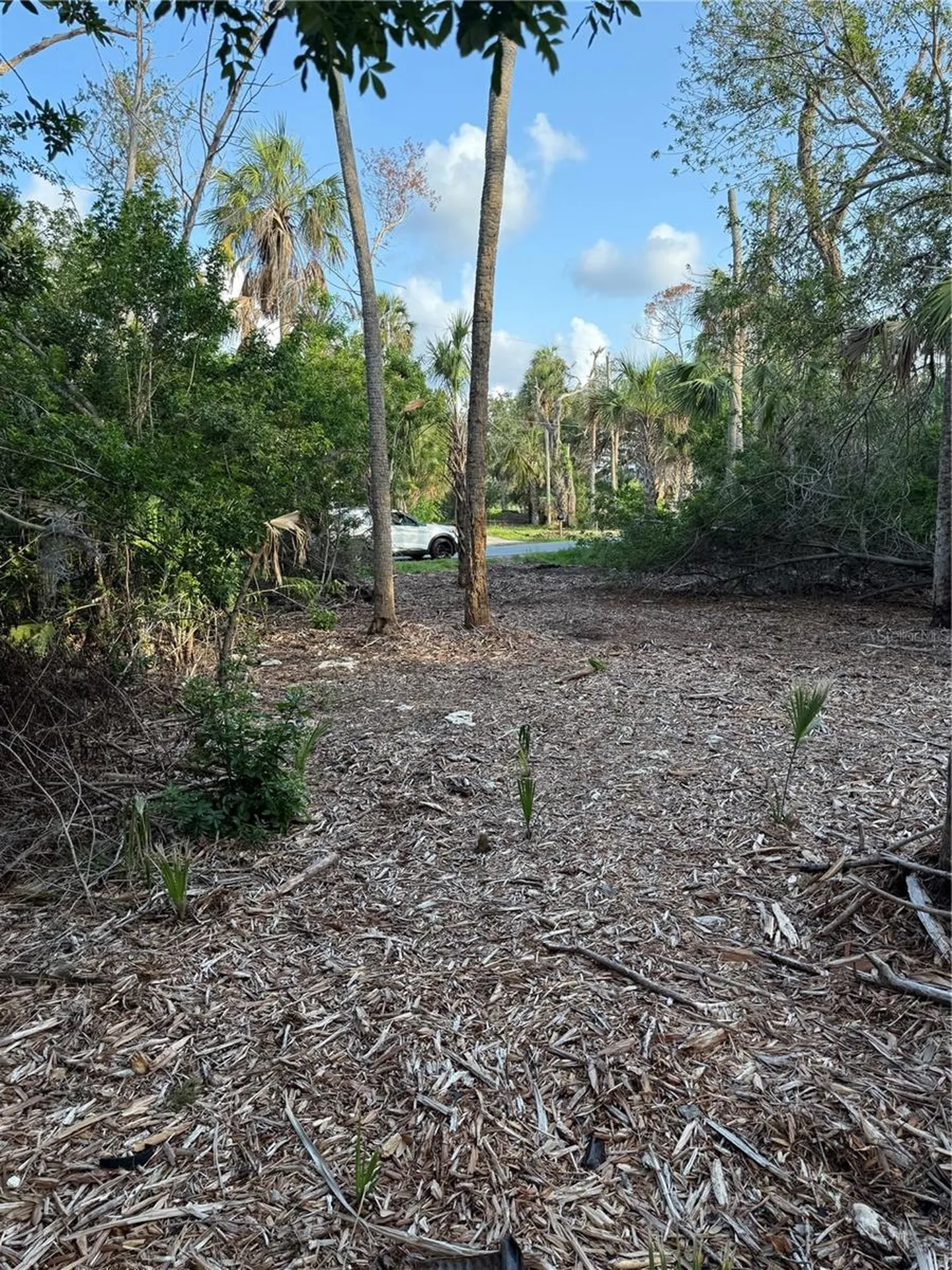 1471 S Estuary Drive Crystal River FL 34429