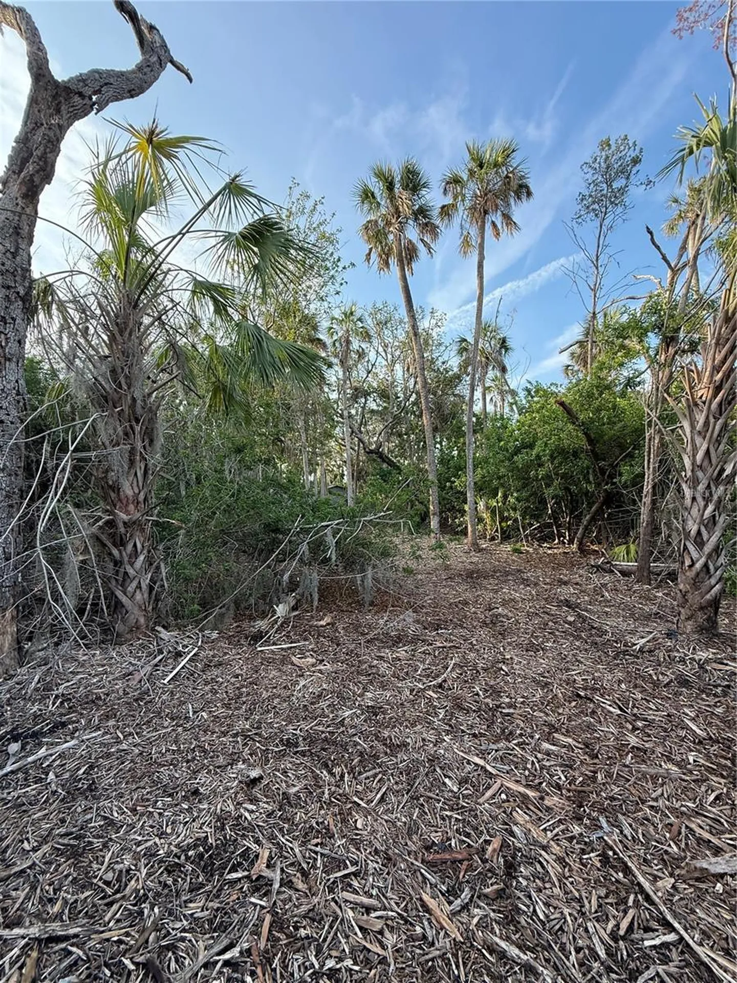 1471 S Estuary Drive Crystal River FL 34429