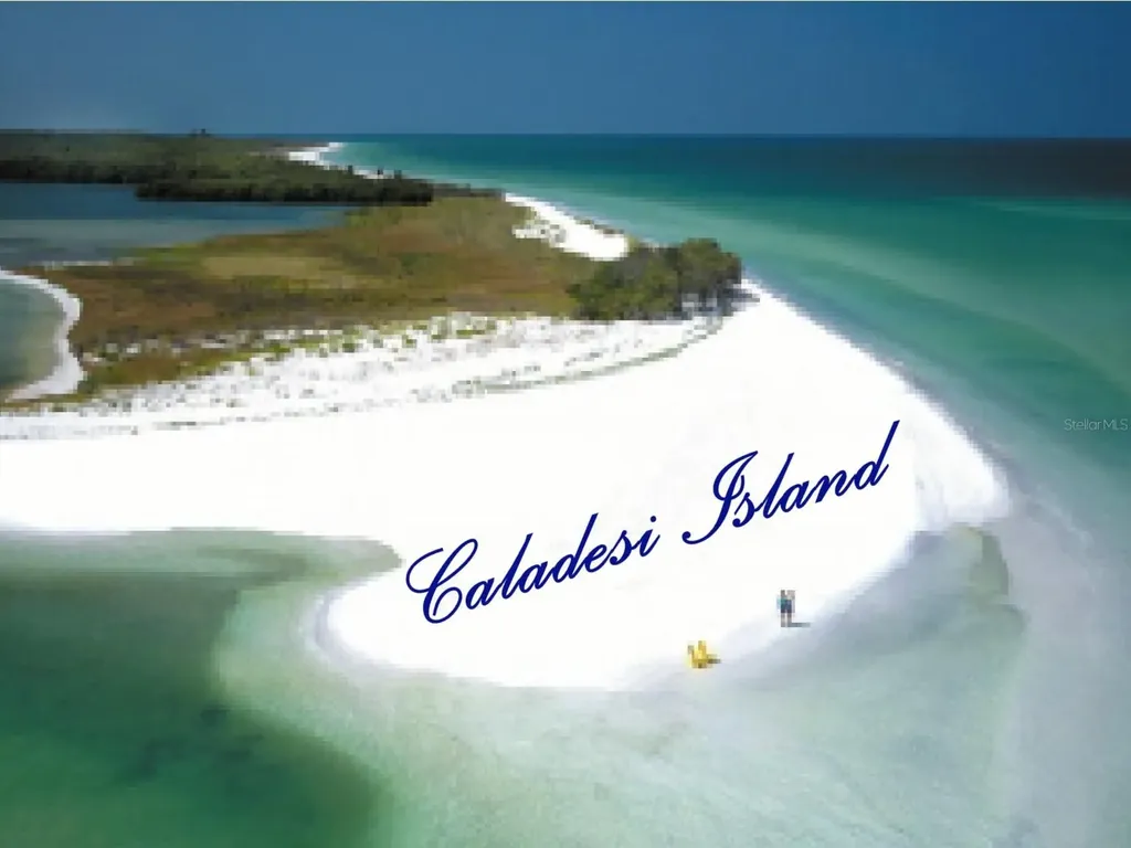 7 Island Park Place Dunedin FL 34698