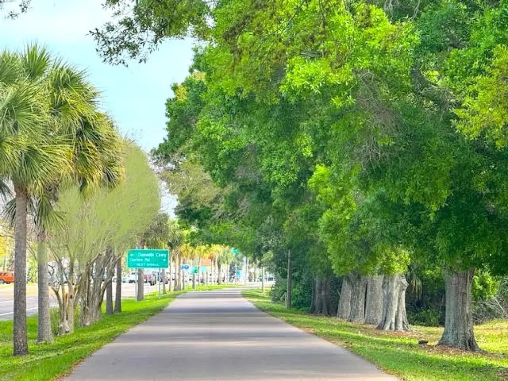 7 Island Park Place Dunedin FL 34698