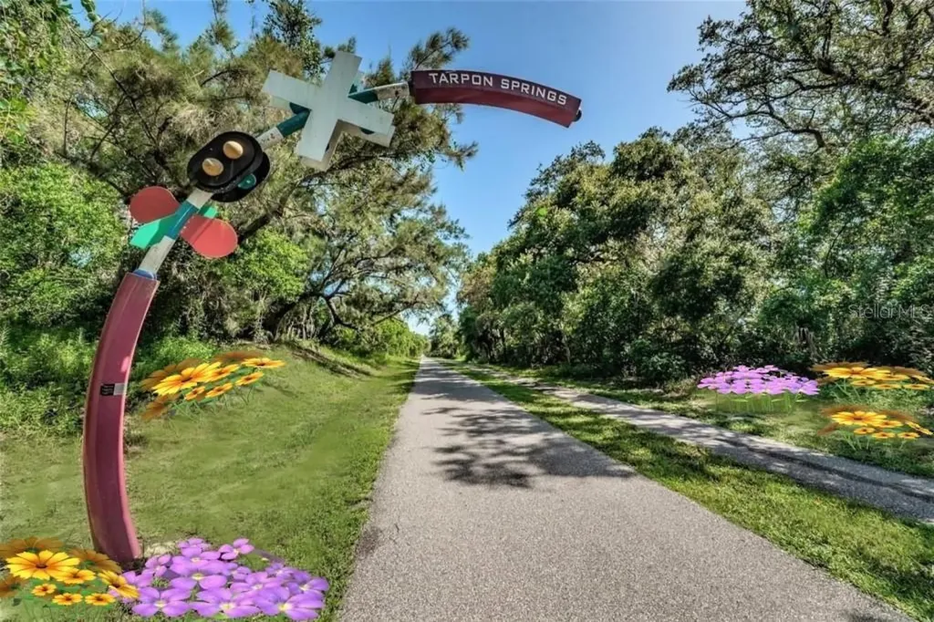 7 Island Park Place Dunedin FL 34698