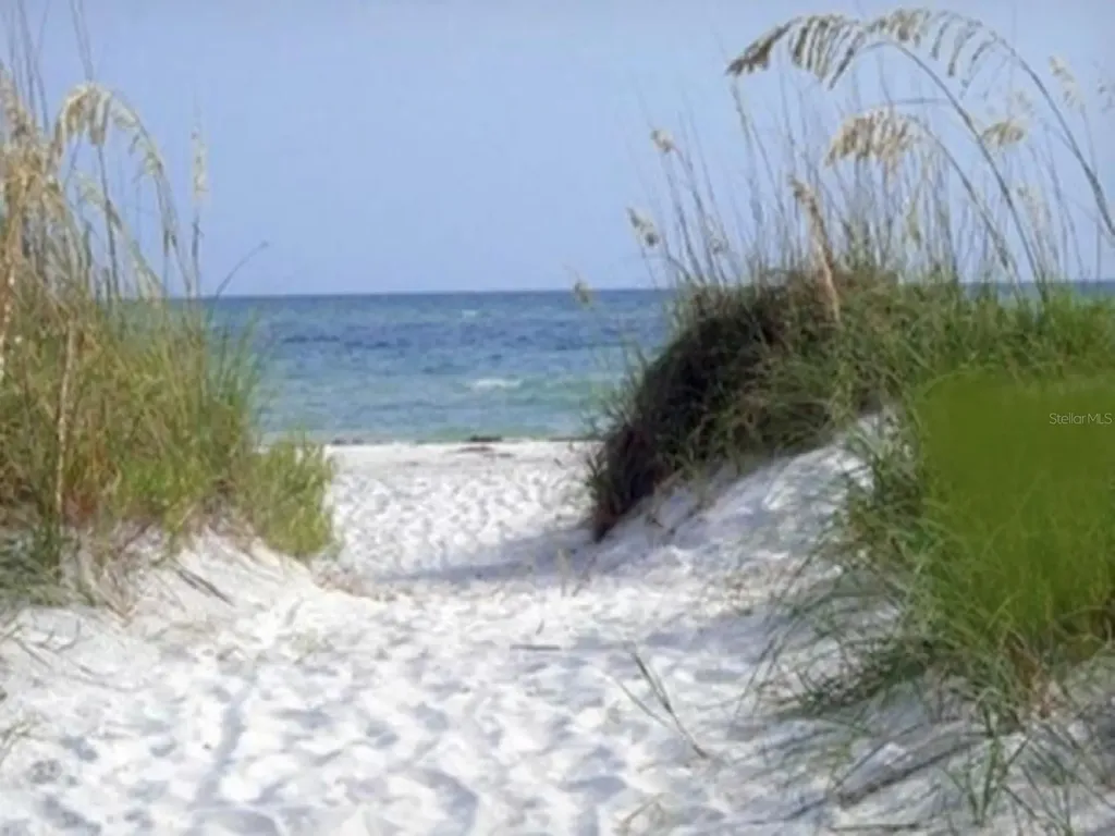 7 Island Park Place Dunedin FL 34698