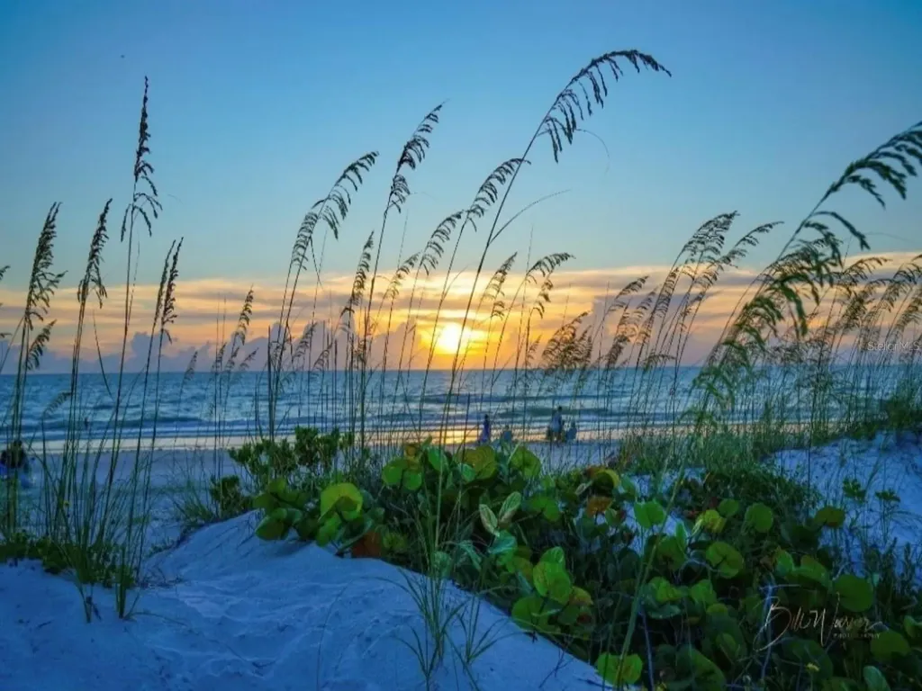 7 Island Park Place Dunedin FL 34698