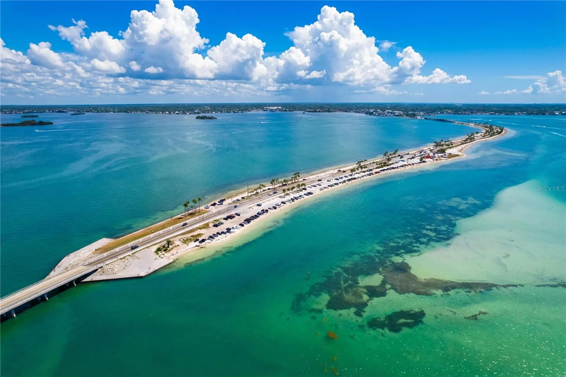 7 Island Park Place Dunedin FL 34698