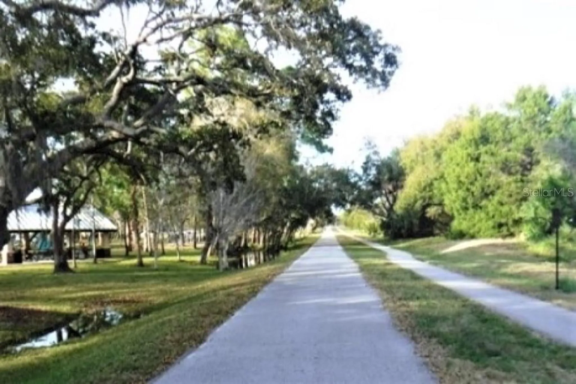 7 Island Park Place Dunedin FL 34698