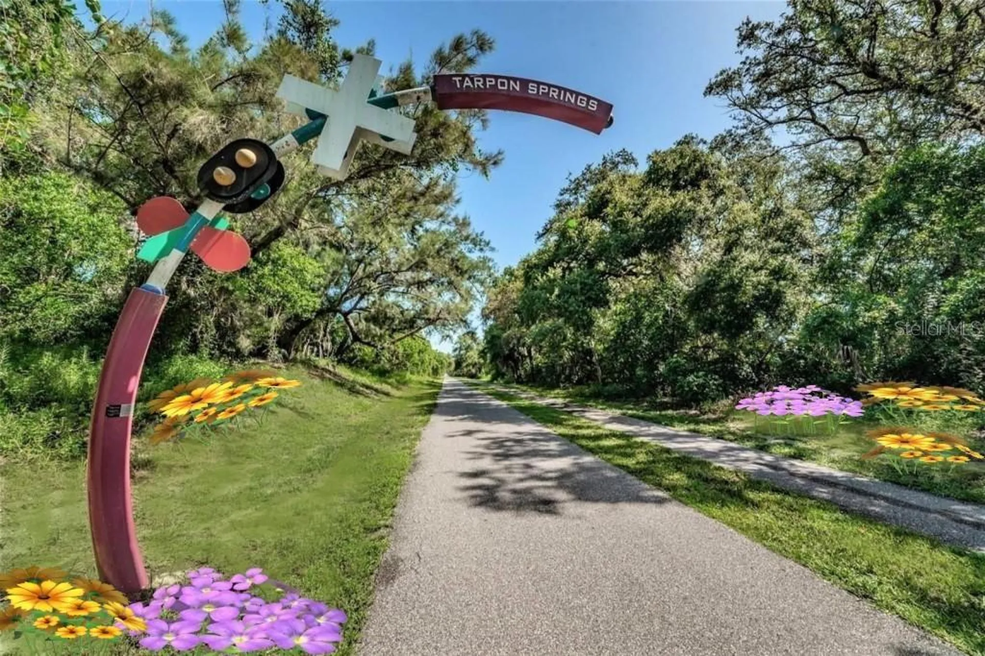 7 Island Park Place Dunedin FL 34698
