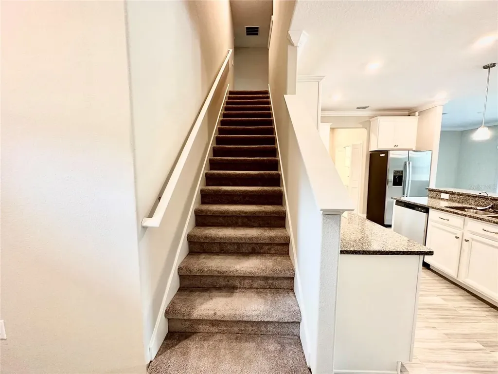 2201 Cerulean Sky Drive Lutz FL 33558