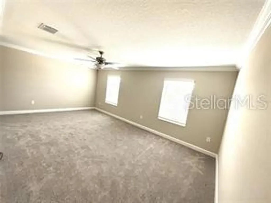 2201 Cerulean Sky Drive Lutz FL 33558