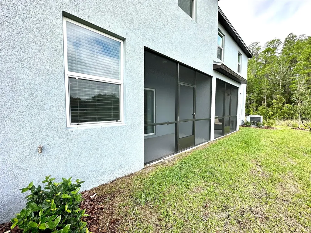 2201 Cerulean Sky Drive Lutz FL 33558