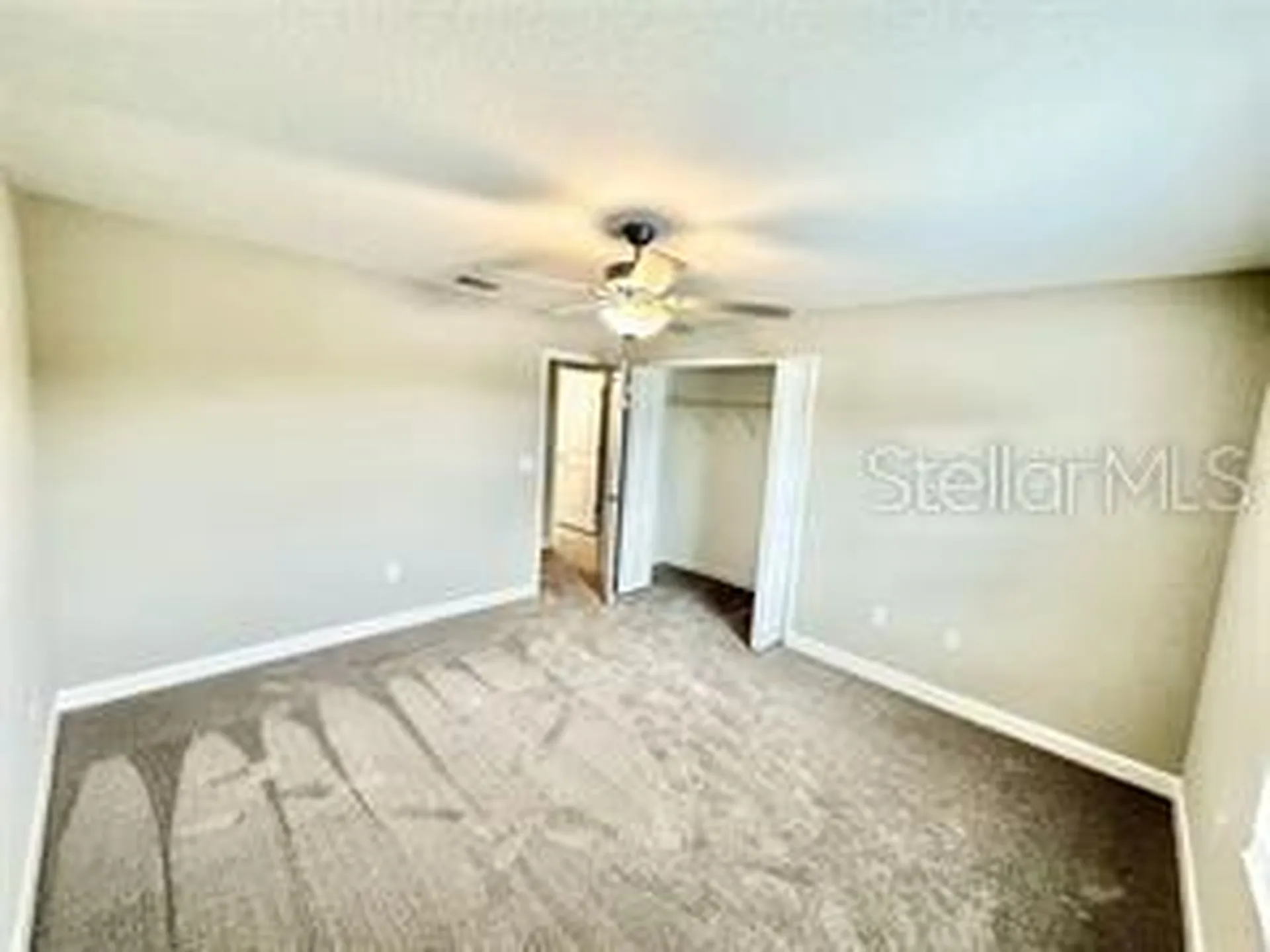 2201 Cerulean Sky Drive Lutz FL 33558