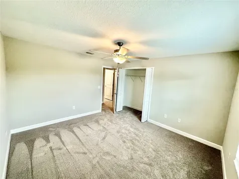 2201 Cerulean Sky Drive Lutz FL 33558