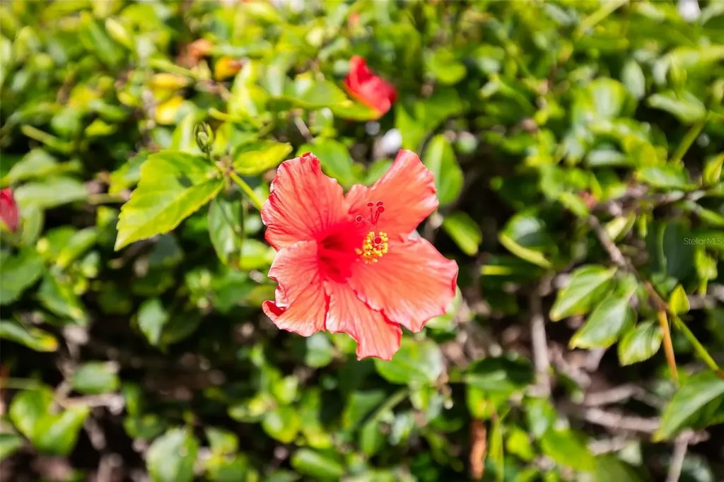1100 Capri Isles Boulevard Venice FL 34292