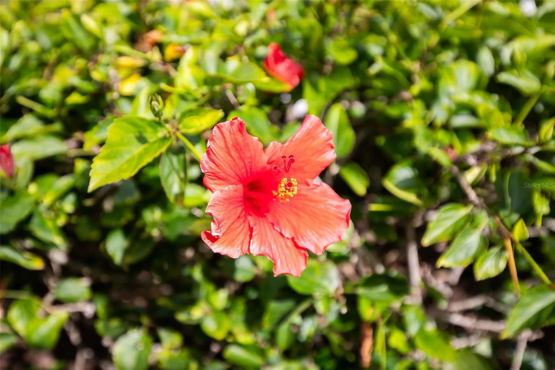 1100 Capri Isles Boulevard Venice FL 34292