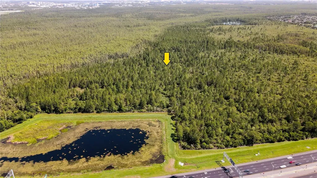 Vacant Land On International Drive S Orlando FL 32821