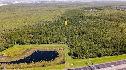 Vacant Land On International Drive S Orlando FL 32821