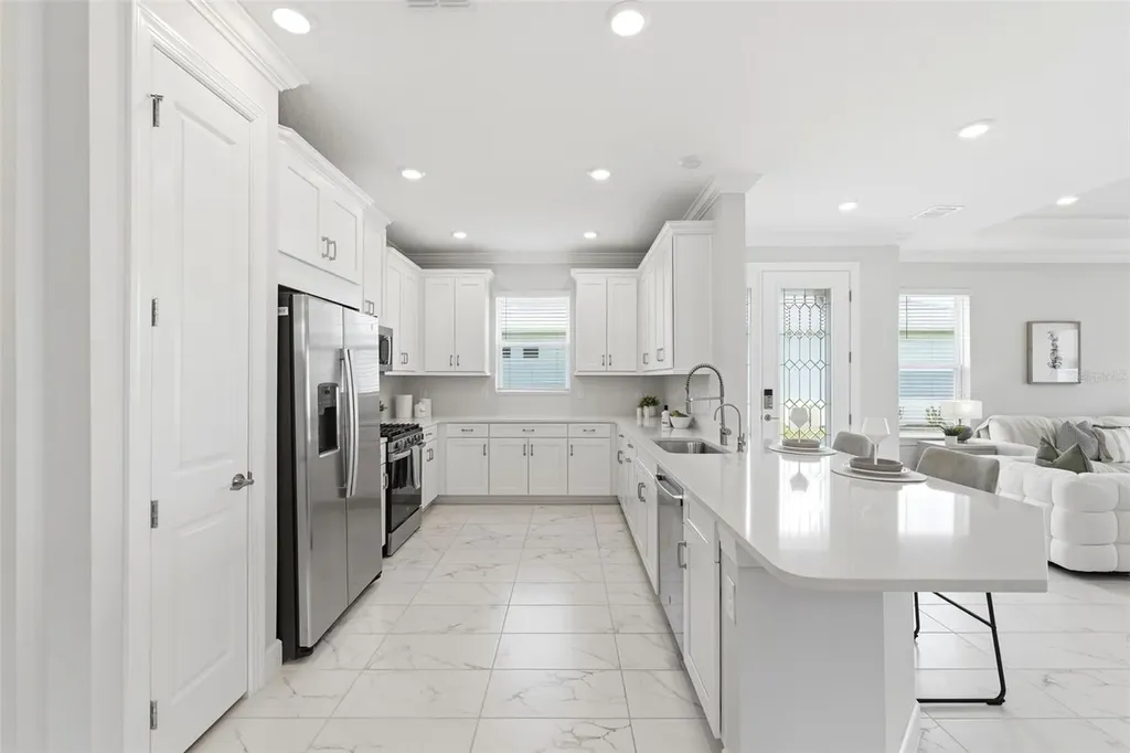29485 Velletri Lane Wesley Chapel FL 33543
