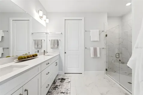 29485 Velletri Lane Wesley Chapel FL 33543