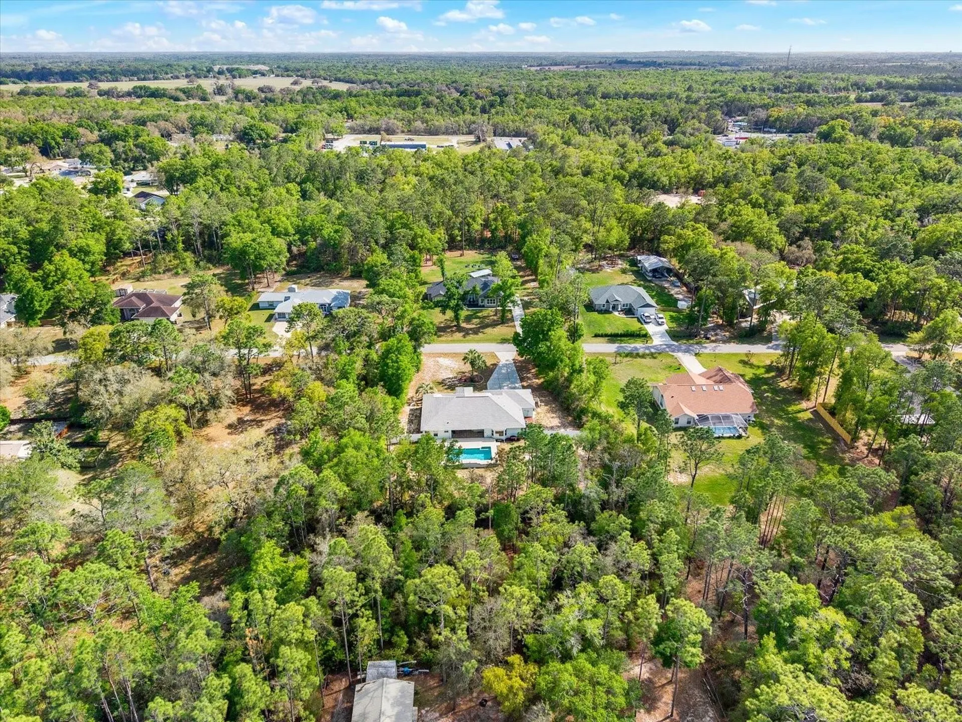 1155 E Bluebird Court Hernando FL 34442