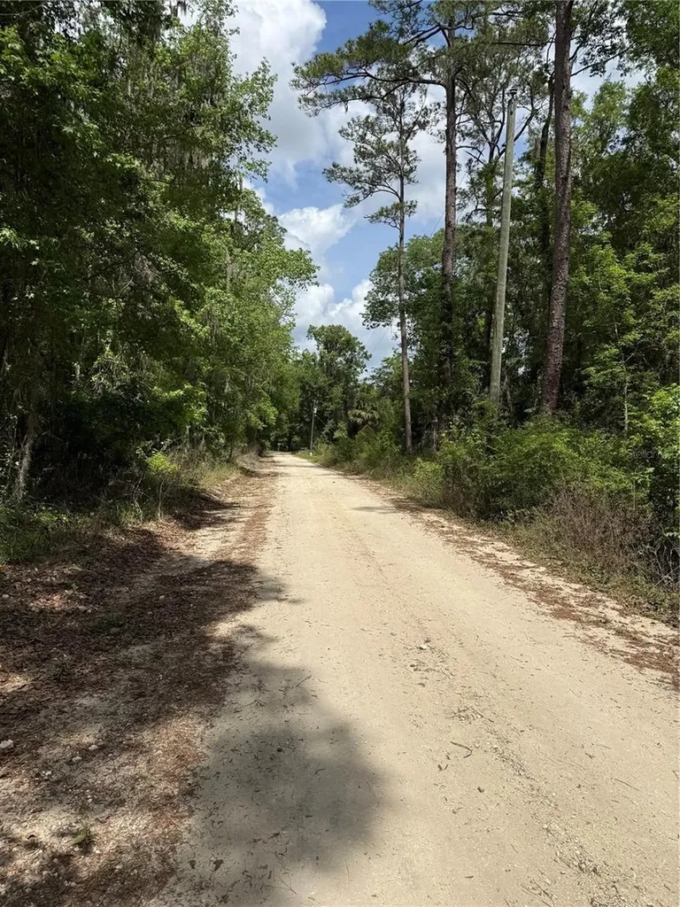 Tbd SW 130th Court Ocala FL 34481