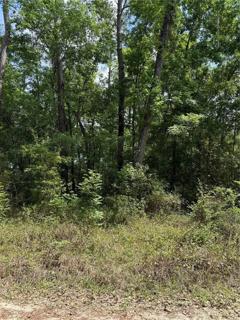 Tbd SW 130th Court Ocala FL 34481