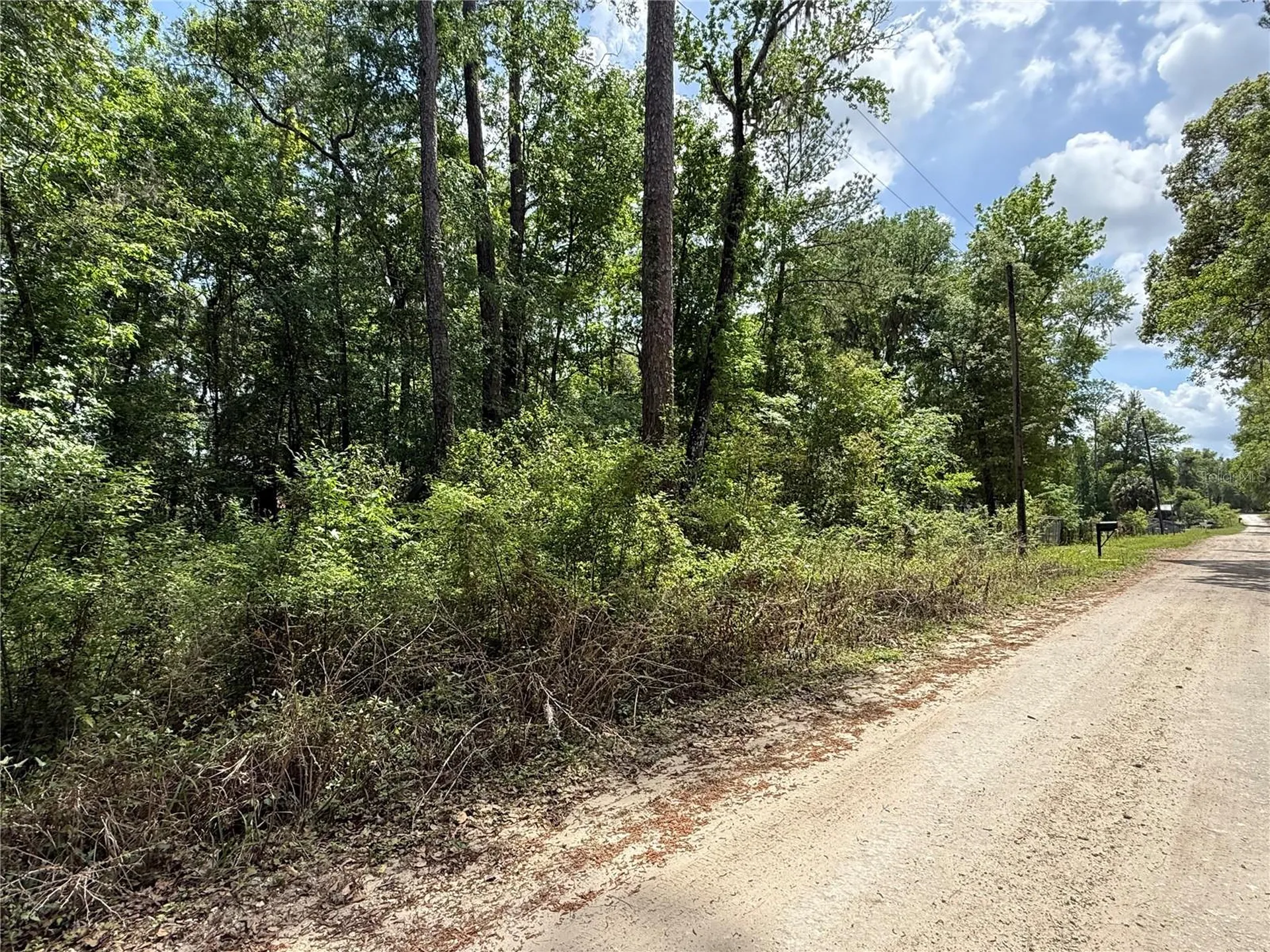 Tbd SW 130th Court Ocala FL 34481