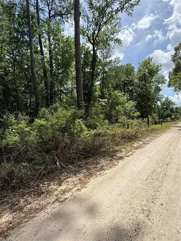 Tbd SW 130th Court Ocala FL 34481