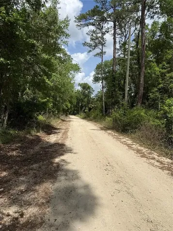 Tbd SW 130th Court Ocala FL 34481