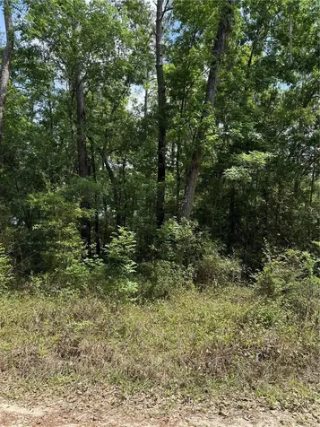 Tbd SW 130th Court Ocala FL 34481