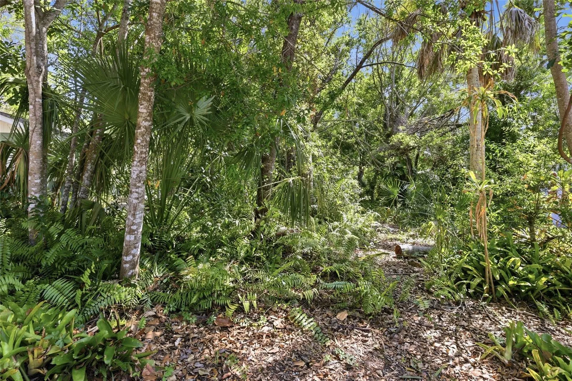 1264 18th Street Sarasota FL 34234