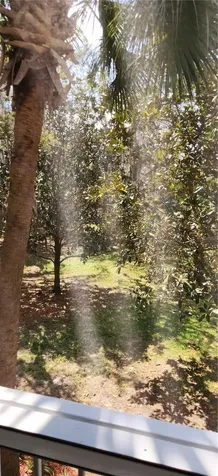 709 Secret Harbor Lane Lake Mary FL 32746