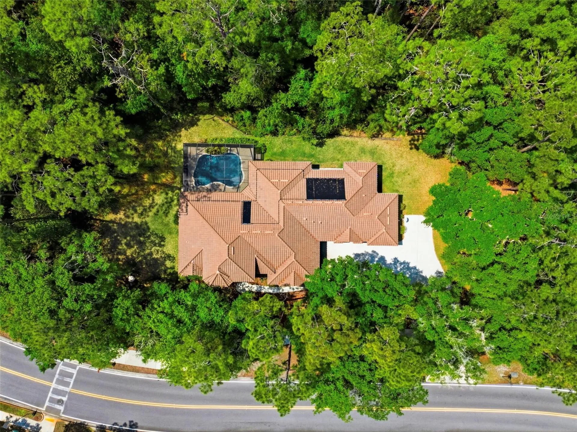 4120 Ridgemoor Drive Palm Harbor FL 34685