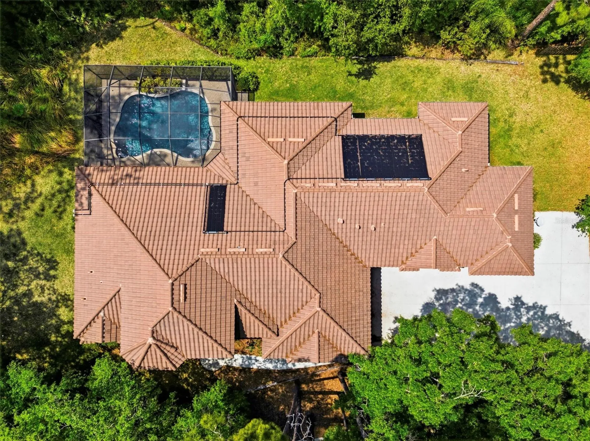 4120 Ridgemoor Drive Palm Harbor FL 34685