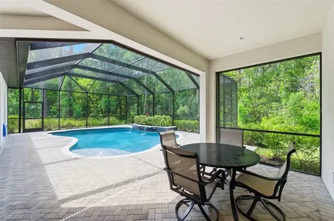 4120 Ridgemoor Drive Palm Harbor FL 34685