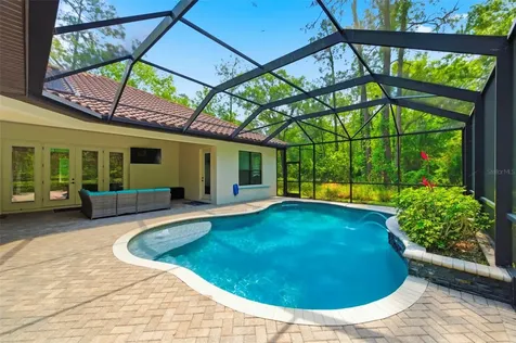4120 Ridgemoor Drive Palm Harbor FL 34685