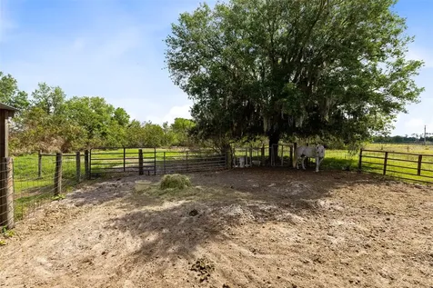 3591 N Canoe Creek Road Kenansville FL 34739
